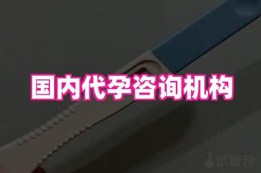 贵州助孕网站 1