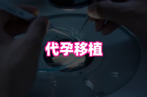 贵州助孕网站 2